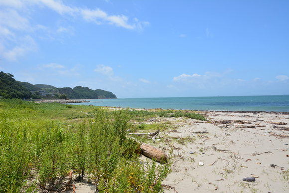 テント泊によかった松林 吹上浜キャンプ場 テント泊によかった松林 吹上浜キャンプ場