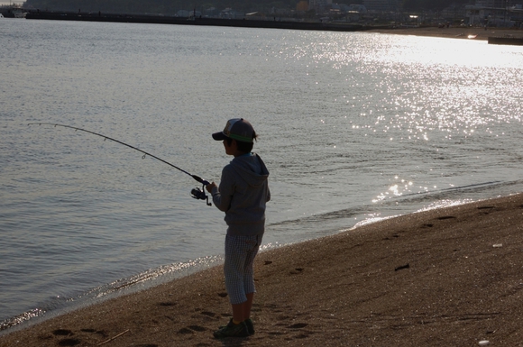 須磨海岸でクラゲとアイナメ 須磨海岸でクラゲとアイナメ