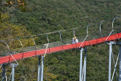 続・南光自然観察村で 焚火と星空 続・南光自然観察村で 焚火と星空