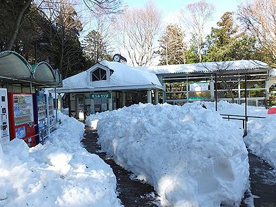 雪の高尾山【2014/2/16】