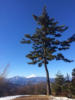 高尾山に行ってきました！【2015/2/1】