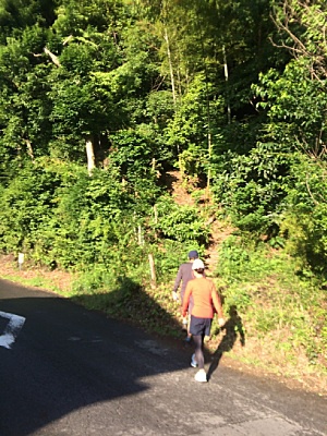 南高尾でモーニングハイク【2015/6/20】 南高尾でモーニングハイク【2015/6/20】