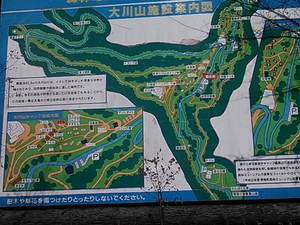 大川山山頂部分の地図