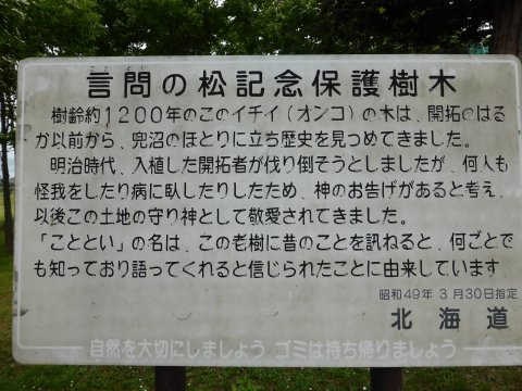 北海道丘では風が見える(=^・・^=) 北海道丘では風が見える(=^・・^=)