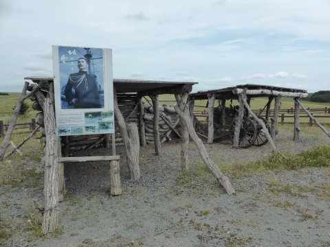 北海道丘では風が見える(=^・・^=) 北海道丘では風が見える(=^・・^=)