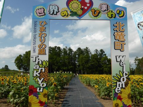 北海道丘では風が見える(=^・・^=) 北海道丘では風が見える(=^・・^=)