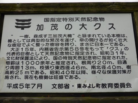 日本一かもしれない(=^・・^=) 日本一かもしれない(=^・・^=)