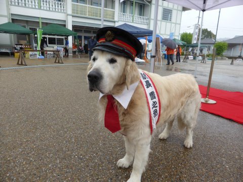 岐阜県キャンピングカーおふ会写真集 岐阜県キャンピングカーおふ会写真集