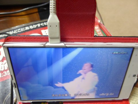 ネット購入の落とし穴;; ネット購入の落とし穴;;