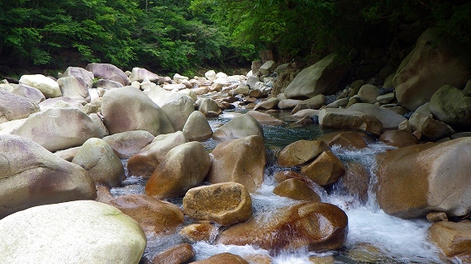 峠縦走!! 滋賀県源流部へ挑む 3/3話 峠縦走!! 滋賀県源流部へ挑む 3/3話
