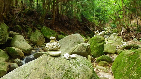 峠縦走!! 滋賀県源流部へ挑む 3/3話 峠縦走!! 滋賀県源流部へ挑む 3/3話