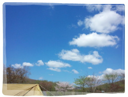 Sakura Camp 2014♪ Sakura Camp 2014♪