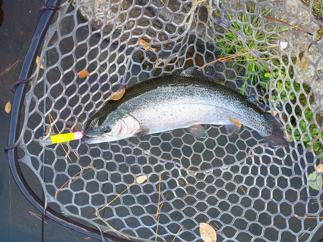 NewTackleですそのフィッシングパークへ。 NewTackleですそのフィッシングパークへ。