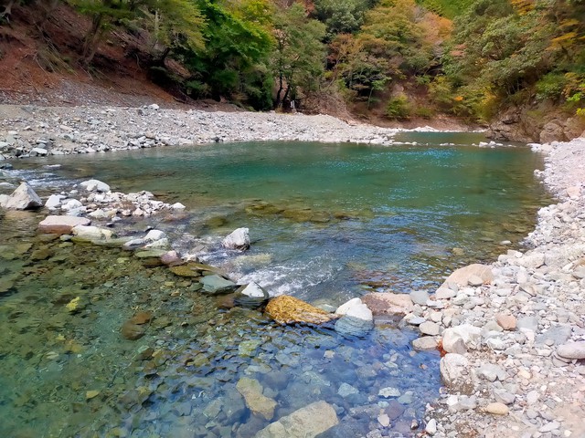 うらたんざわ渓流釣場(2021.10.30) うらたんざわ渓流釣場(2021.10.30)