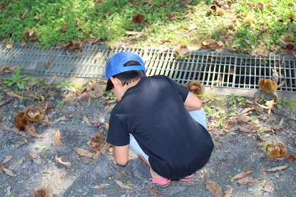 山逢の里キャンプ場 (M先輩夫妻と一緒にキャンプ) 【後編】 山逢の里キャンプ場 (M先輩夫妻と一緒にキャンプ) 【後編】