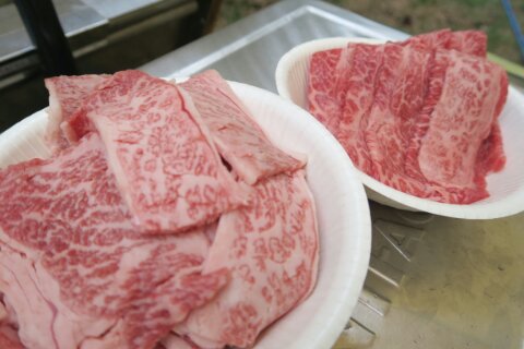 一応2日目の夜! 一応2日目の夜!