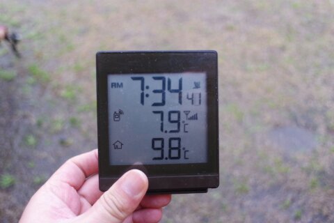 佐賀は雨でしたが・・・ 佐賀は雨でしたが・・・
