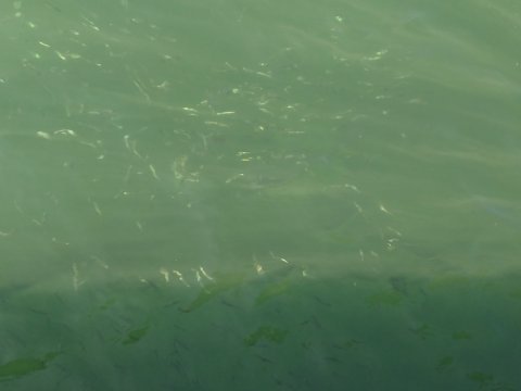 釣り場徘徊! 釣り場徘徊!