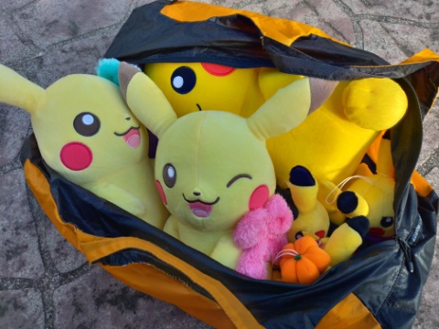 ハロキャン出発! ハロキャン出発!
