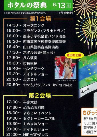 豊田の蛍祭り 豊田の蛍祭り