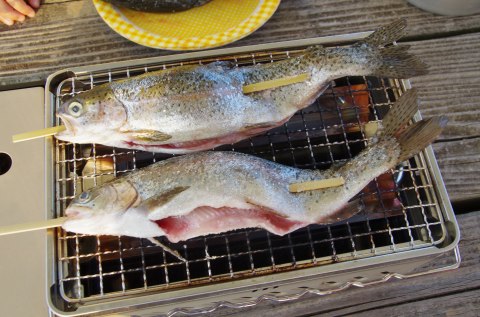 秋吉台満喫キャンプ① 秋吉台満喫キャンプ①