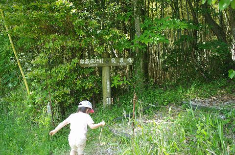 秋吉台満喫キャンプ② 秋吉台満喫キャンプ②
