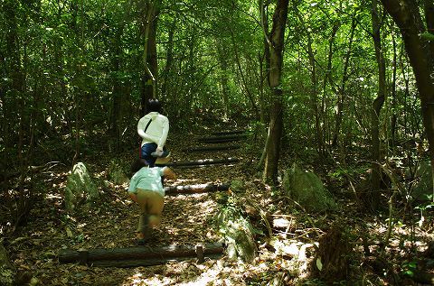 秋吉台満喫キャンプ② 秋吉台満喫キャンプ②