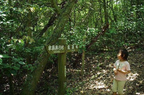 秋吉台満喫キャンプ② 秋吉台満喫キャンプ②