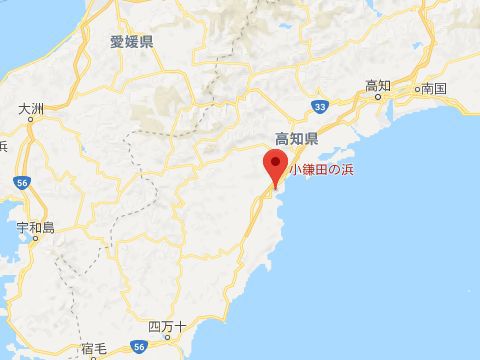 高知県:小鎌田の浜(レポ) 高知県:小鎌田の浜(レポ)