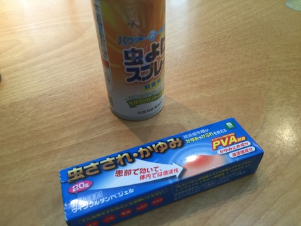 ホタルキャンプ、ヒストリーパーク塚原、その1 ホタルキャンプ、ヒストリーパーク塚原、その1
