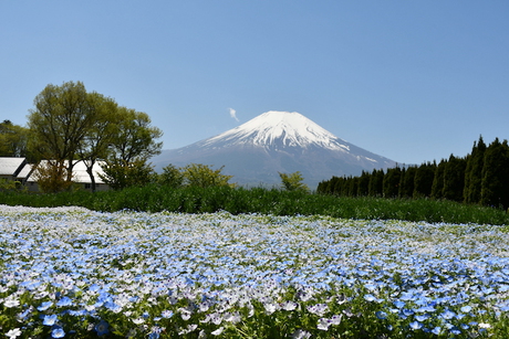 GW後半戦、富士山を眺めるキャンプへ、その3