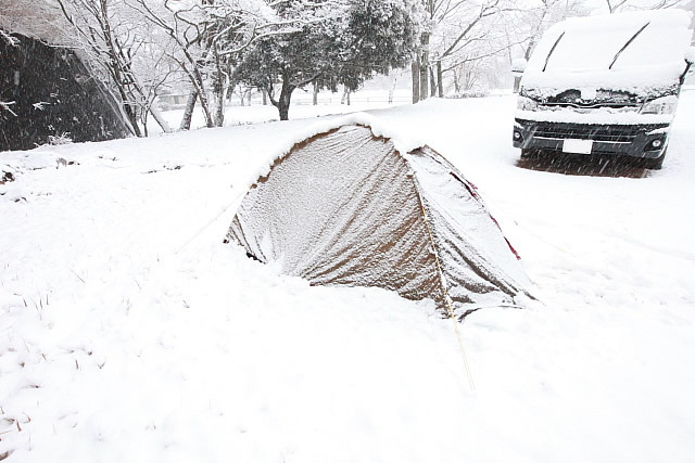 犬雪中キャンプ