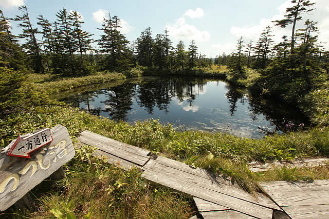 つつじ沼松山湿原 つつじ沼松山湿原
