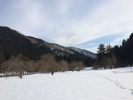 ソロ雪キャンプ　in リバーランズ角川