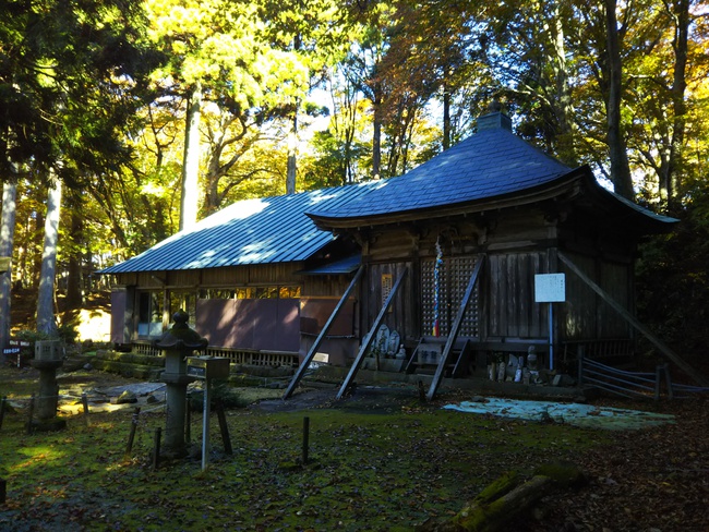 紅葉全開の越知山