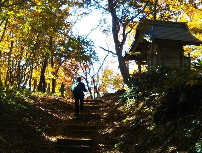 紅葉全開の越知山