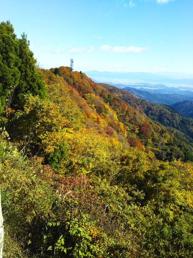 紅葉全開の越知山