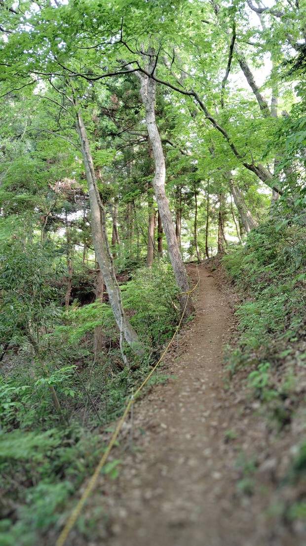 鯉のぼり泳ぐ 文殊山と丹波岳 鯉のぼり泳ぐ 文殊山と丹波岳