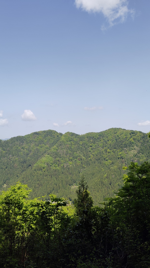 鯉のぼり泳ぐ 文殊山と丹波岳 鯉のぼり泳ぐ 文殊山と丹波岳