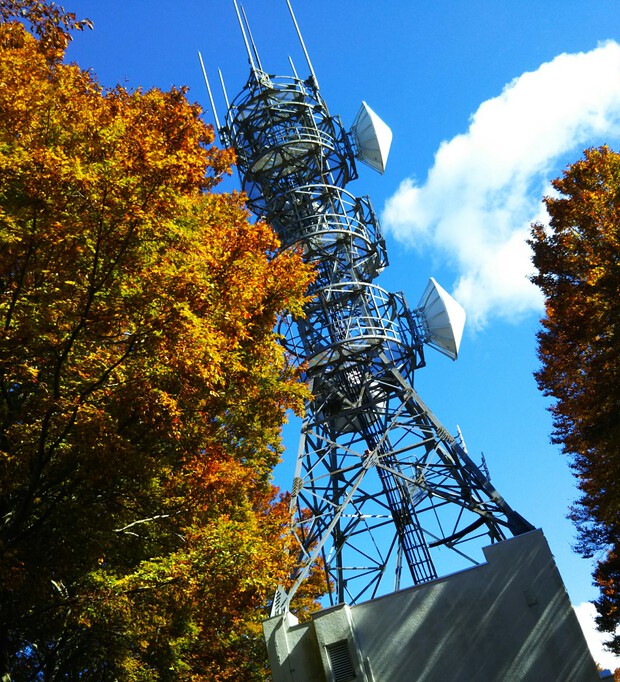 紅葉全開の越知山