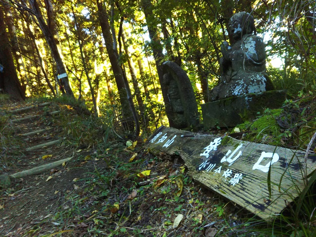 紅葉全開の越知山