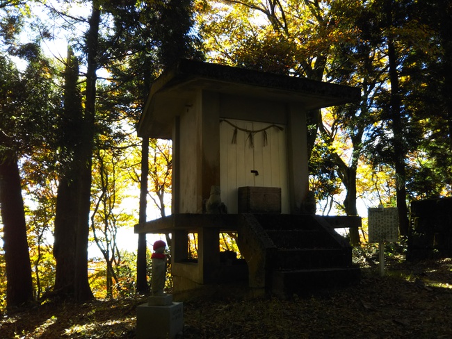 紅葉全開の越知山