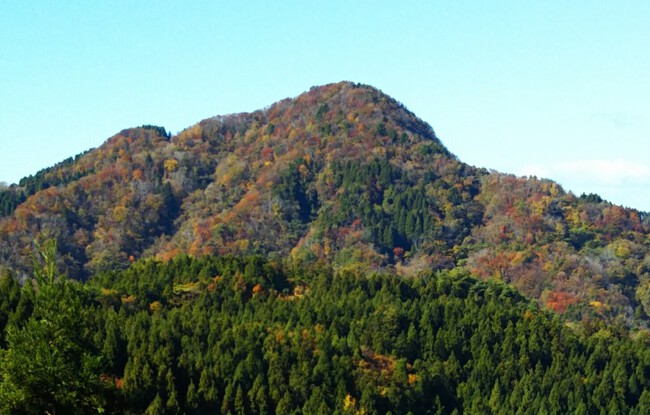 紅葉全開の越知山