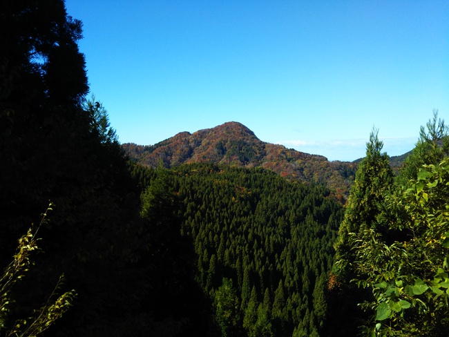 紅葉全開の越知山