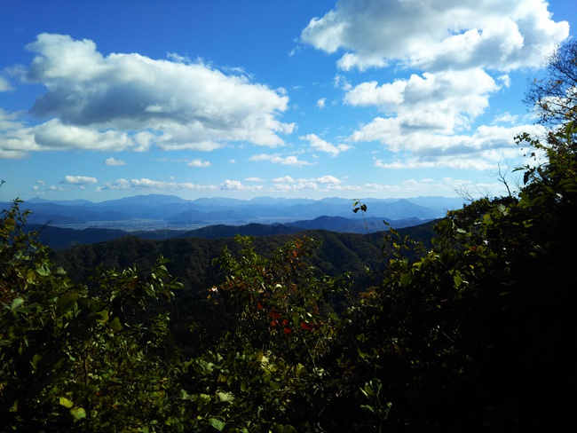 紅葉全開の越知山