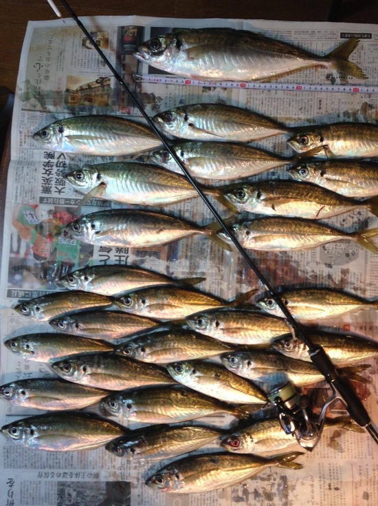 満月1日前のギガアジ釣行だけど 満月1日前のギガアジ釣行だけど