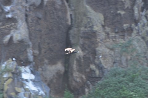 北海道旅 24日目
