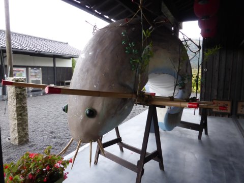 どじょう踊り&縁結び神社