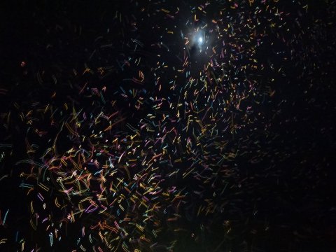 竹燈籠音楽祭り 金峰町(鹿児島)