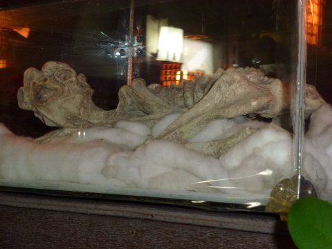 佐賀ツアー 英酒店(観光部)